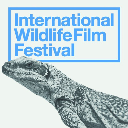 Profile Page International Wildlife Film Festival