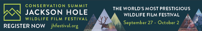 Jackson Hole Wildlife Film Festival 2015