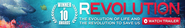 REVOLUTION - The movie