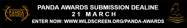 Wildscreen 2018 Submissions