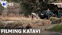 Luana Knipfer - Filming Katavi