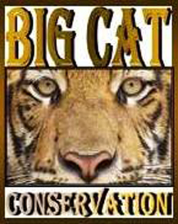 BIG CAT Conservation