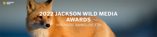 Jackson Wild Summit 2022 - Winners