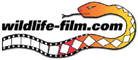 Wildlife-film.com Logo