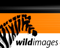 Wild Images