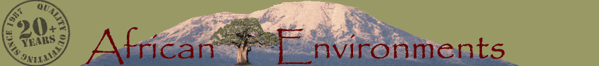 African Environments