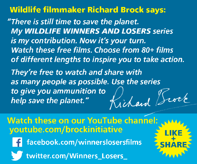Wildlife Winners and Losers - Brock Initiative