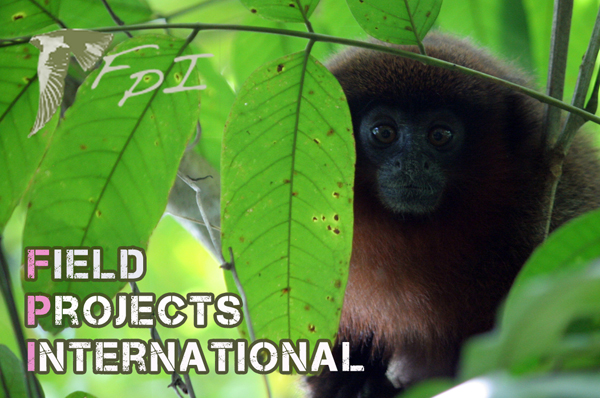 Field Projects International