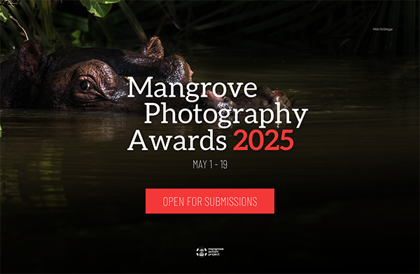 Mangrove Photography Awards