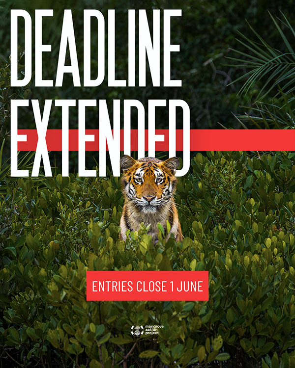 Mangrove Photography Awards