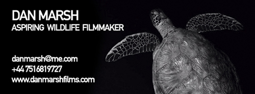 Dan Marsh Films