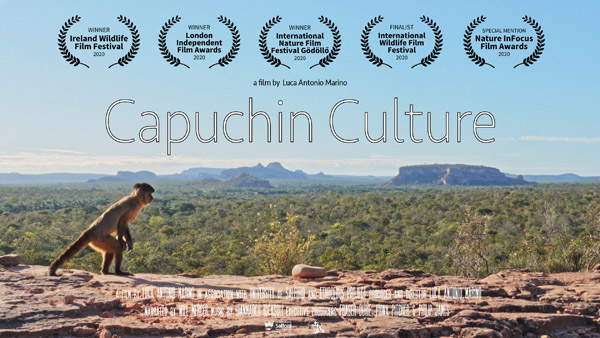 Capuchin Culture - Luca Antonio Marino