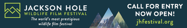 Jackson Hole Wildlife Film Festival 2017 - Call for Entry Open!