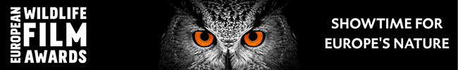 European Wildlife Film Awards � Call for Entries