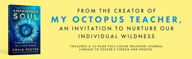 Amphibious Soul: Finding the wild in a tame world
by Craig Foster