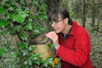 BWPA Documentary Winner - Hazel Dormouse Monitoring by Nick Upton