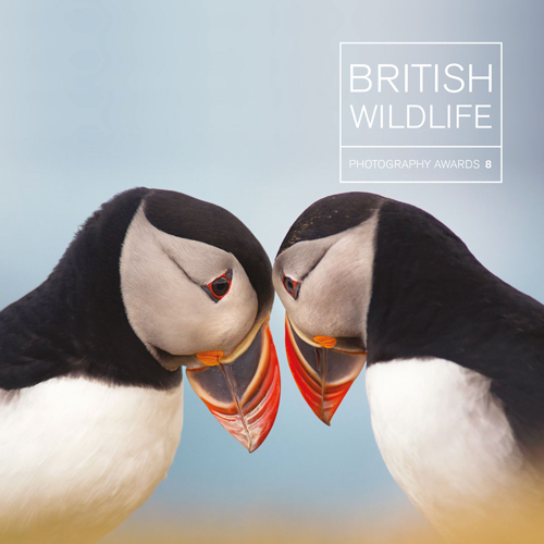 British Wildlife Photography Awards Book - Collection 8