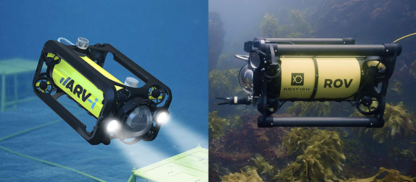 Boxfish Research renames to Boxfish Robotics