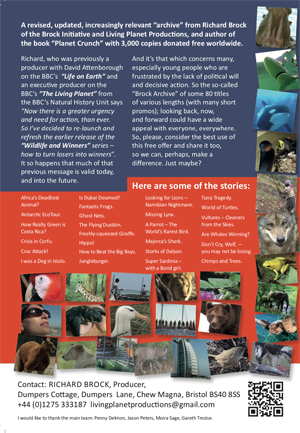 Chuffed to be Back Xmas Card