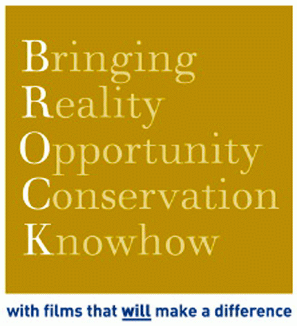 The Making of the Brock Initiative