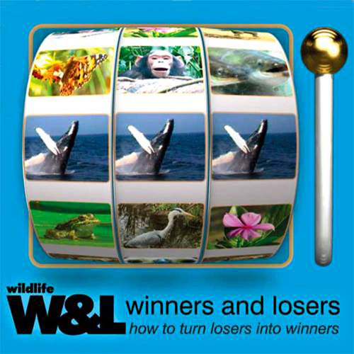 The Wildlife Winners and Losers film series