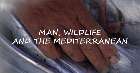 Man, wildlife and the Mediterranean - Brock Initiative