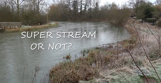 Super Stream or Not? - Brock Initiative