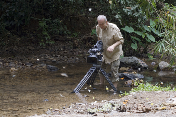 Darryl Sweetland - Thailand Wild