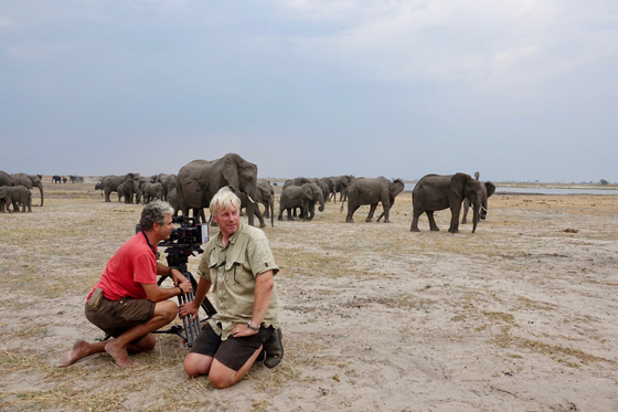 Ireland Wildlife Film Festival 2019 - Elephants up close - Dangerous neighbours