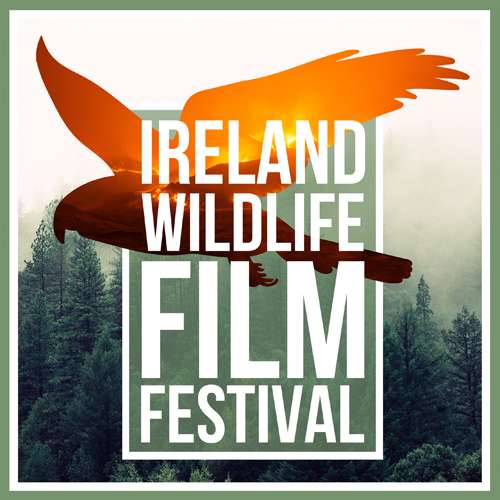 Ireland Wildlife Film Festival 2020