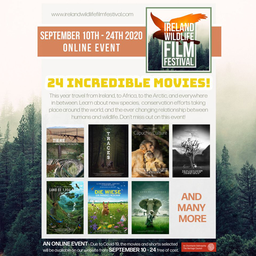 Ireland Wildlife Film Festival 2020