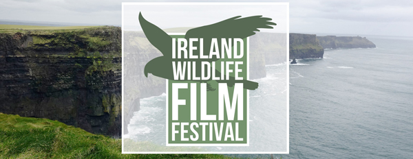Ireland Wildlife Film Festival 2020 - Facebook