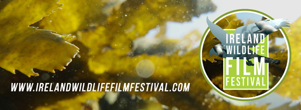 Ireland Wildlife Film Festival 2023