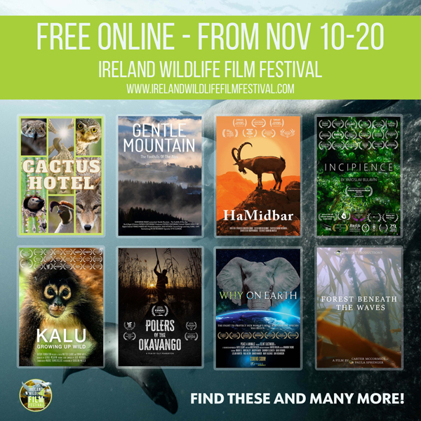 Ireland Wildlife Film Festival 2023