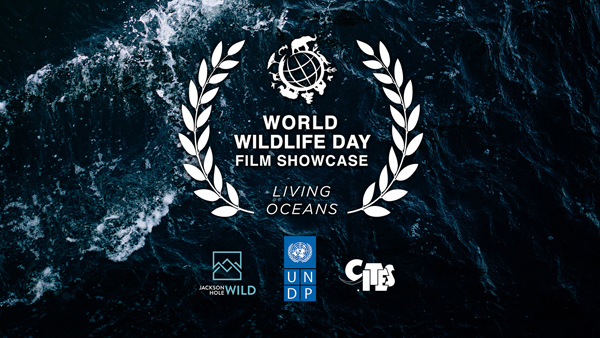World Wildlife Day Film Showcase: Living Oceans