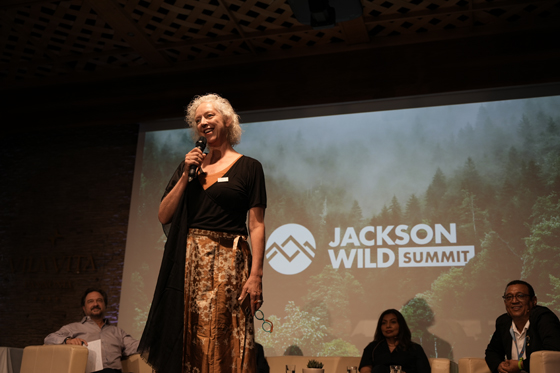 Jackson Wild – Lisa Samford Retires