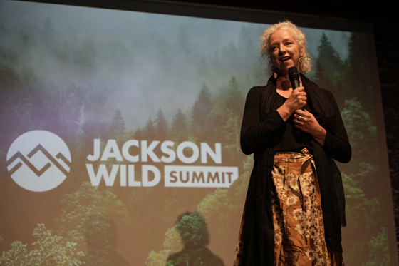 Jackson Wild – Lisa Samford Retires