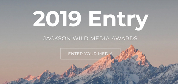 Jackson Wild - Call for Entry