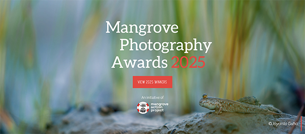 MANGROVE PHOTOGRAPHY AWARDS 2025 WINNERS