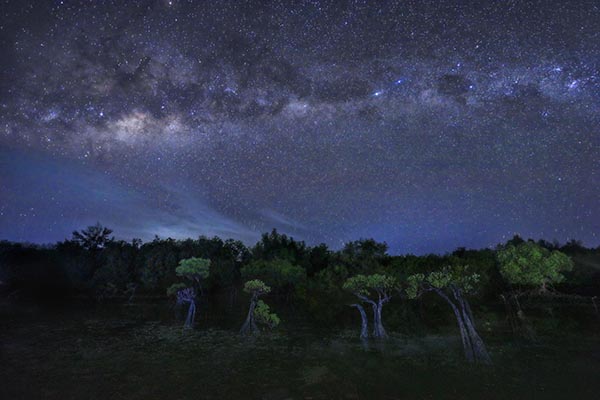 Landscape - On the Ground WINNER: Mangrove Under the Milky Way by Gwi Bin Lim, Indonesia - A stunning view of the Milky Way unfolds above a landscape where mangrove trees and forests blend in perfect harmony.