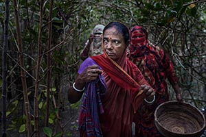 Conservation Stories WINNER - A Woman&rsquo;s Fight in the Sundarbans Mangrove Forest
by Mohammad Rakibul Hasan, Bangladesh - The Sundarbans, the world's largest mangrove forest, spans around 140,000 hectares across the Ganges, Brahmaputra, and Meghna deltas, primarily in Bangladesh. This UNESCO World Heritage site is home to diverse wildlife, including the Royal Bengal Tiger. However, climate change poses severe threats, with rising sea levels, salinity, and cyclones damaging the forest and displacing communities. Women face health challenges due to salinity and poor resources, while frequent natural disasters disrupt lives and livelihoods. Sustainable efforts are crucial to preserve this ecological treasure and support its resilient inhabitants.