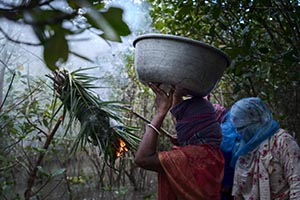 Conservation Stories WINNER - A Woman&rsquo;s Fight in the Sundarbans Mangrove Forest
by Mohammad Rakibul Hasan, Bangladesh - The Sundarbans, the world's largest mangrove forest, spans around 140,000 hectares across the Ganges, Brahmaputra, and Meghna deltas, primarily in Bangladesh. This UNESCO World Heritage site is home to diverse wildlife, including the Royal Bengal Tiger. However, climate change poses severe threats, with rising sea levels, salinity, and cyclones damaging the forest and displacing communities. Women face health challenges due to salinity and poor resources, while frequent natural disasters disrupt lives and livelihoods. Sustainable efforts are crucial to preserve this ecological treasure and support its resilient inhabitants.