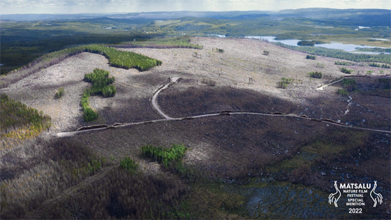Matsalu Nature Film Festival 2022 &ndash; About the Forest