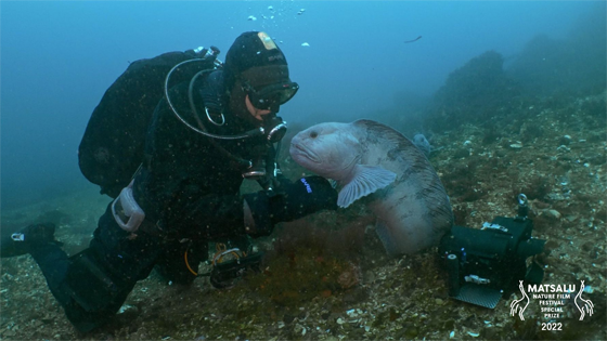 Matsalu Nature Film Festival 2022 &ndash; Kingdom of Fish Ep 3 - The Sea