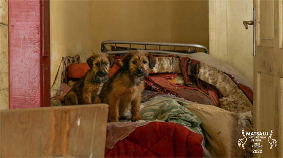 Matsalu Nature Film Festival 2022 &ndash; Life of a Mutt