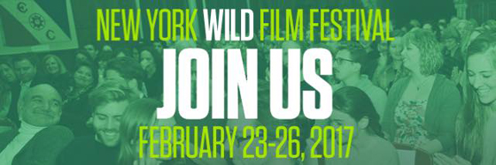 NY WIld Film Festival