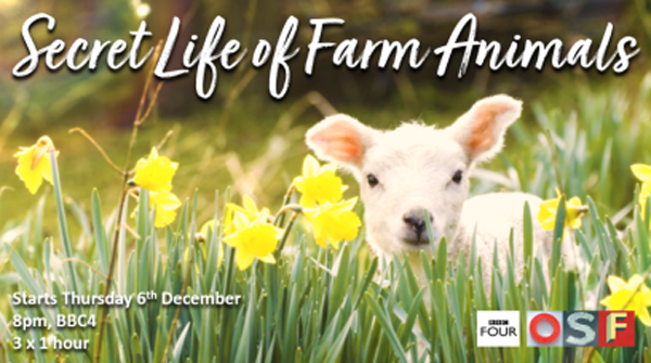  Feature Page - New Series Secret Life of Farm Animals by  Oxford Scientific Films Coming to BBC Four
