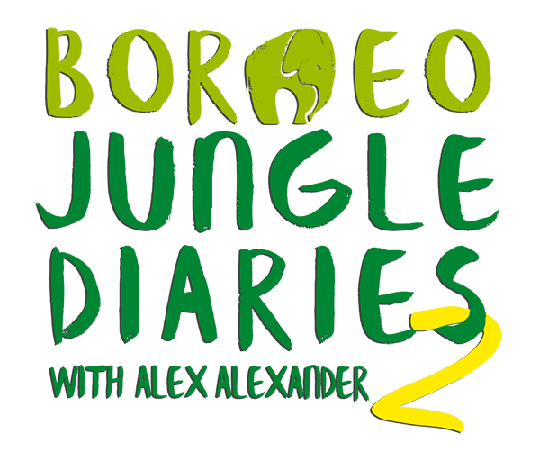 Borneo Jungle Diaries 2