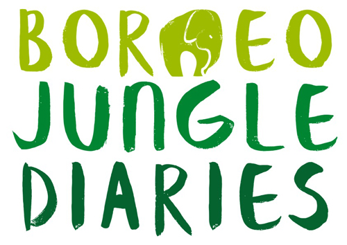 Borneo Jungle Diaries