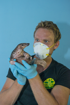 Borneo Wildlife Warriors - SZtv